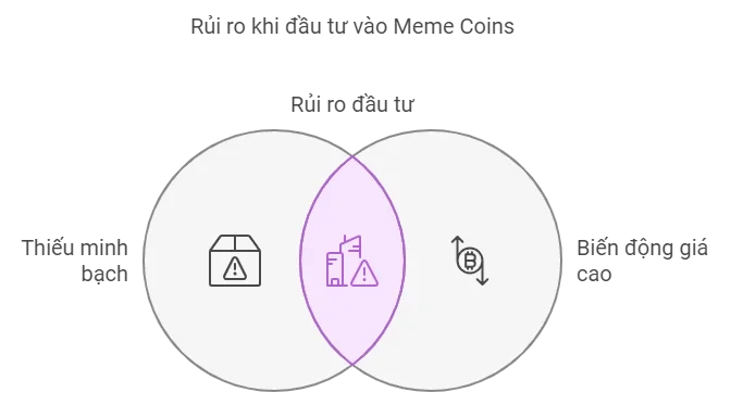 Rủi Ro Khi Đầu Tư Memecoin